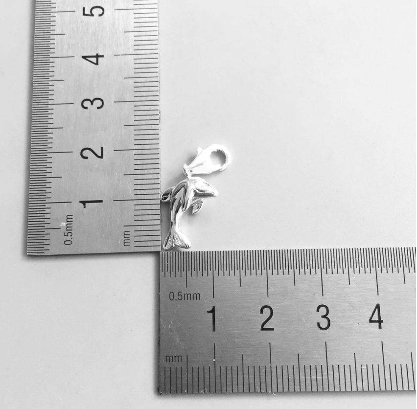 dolphins 20240718 032428