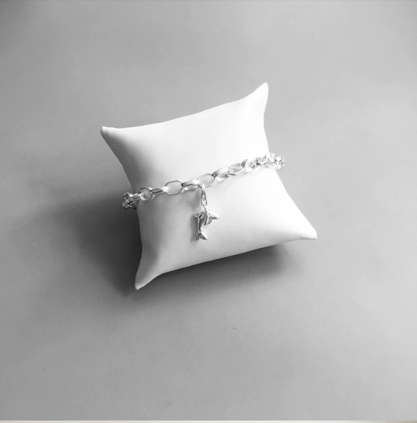 dolphins2 20240718 032424