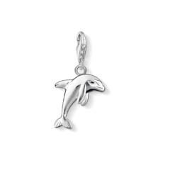 shark2 20240718 032423