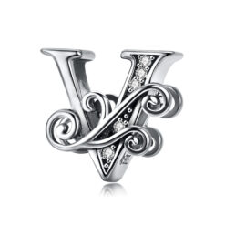 v1