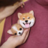 custom 3d needle felting pet brooch and wrist corsage