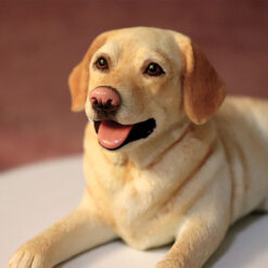customized soft clay pet replicas